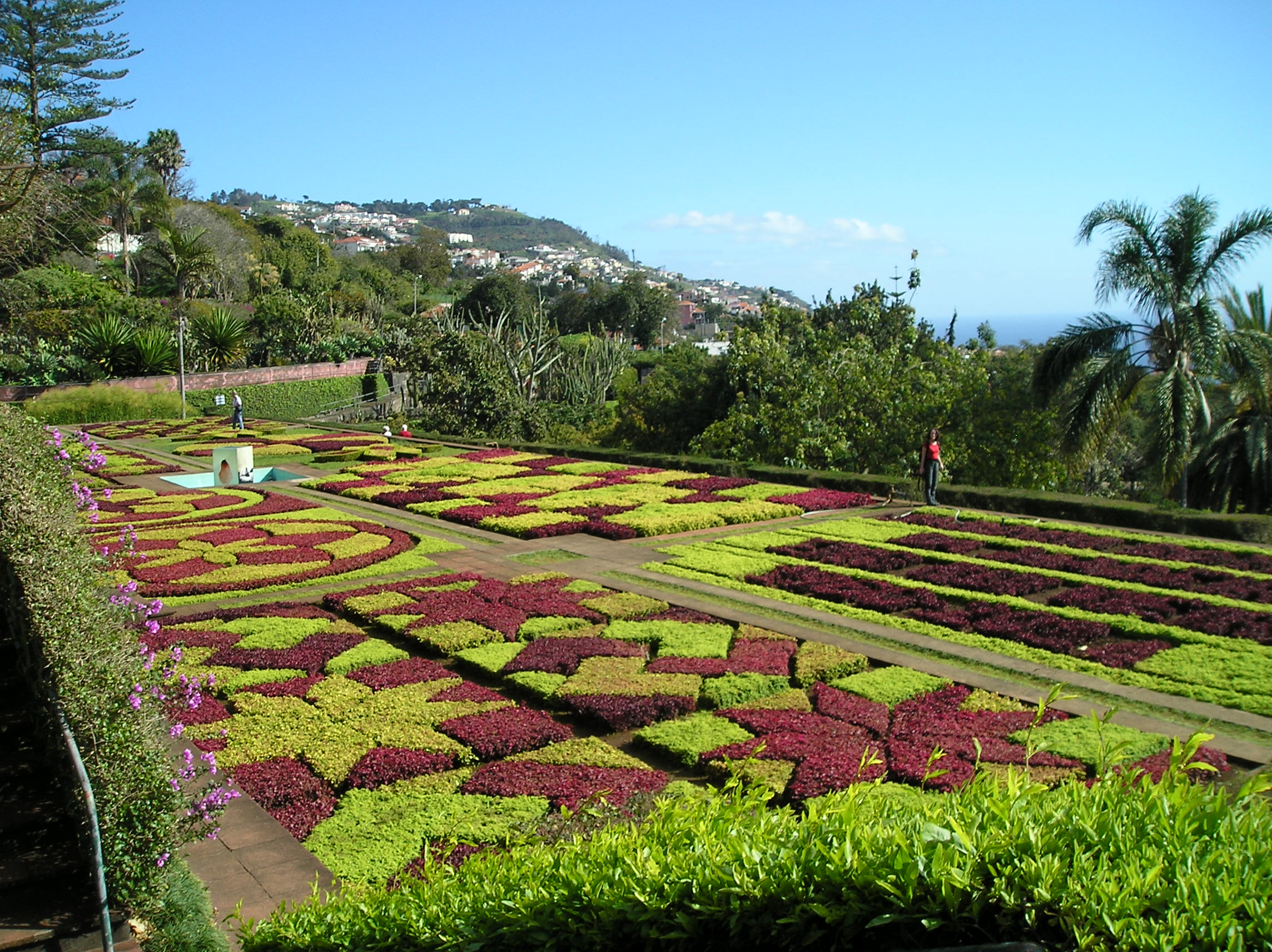 Madeira: visiting the garden island