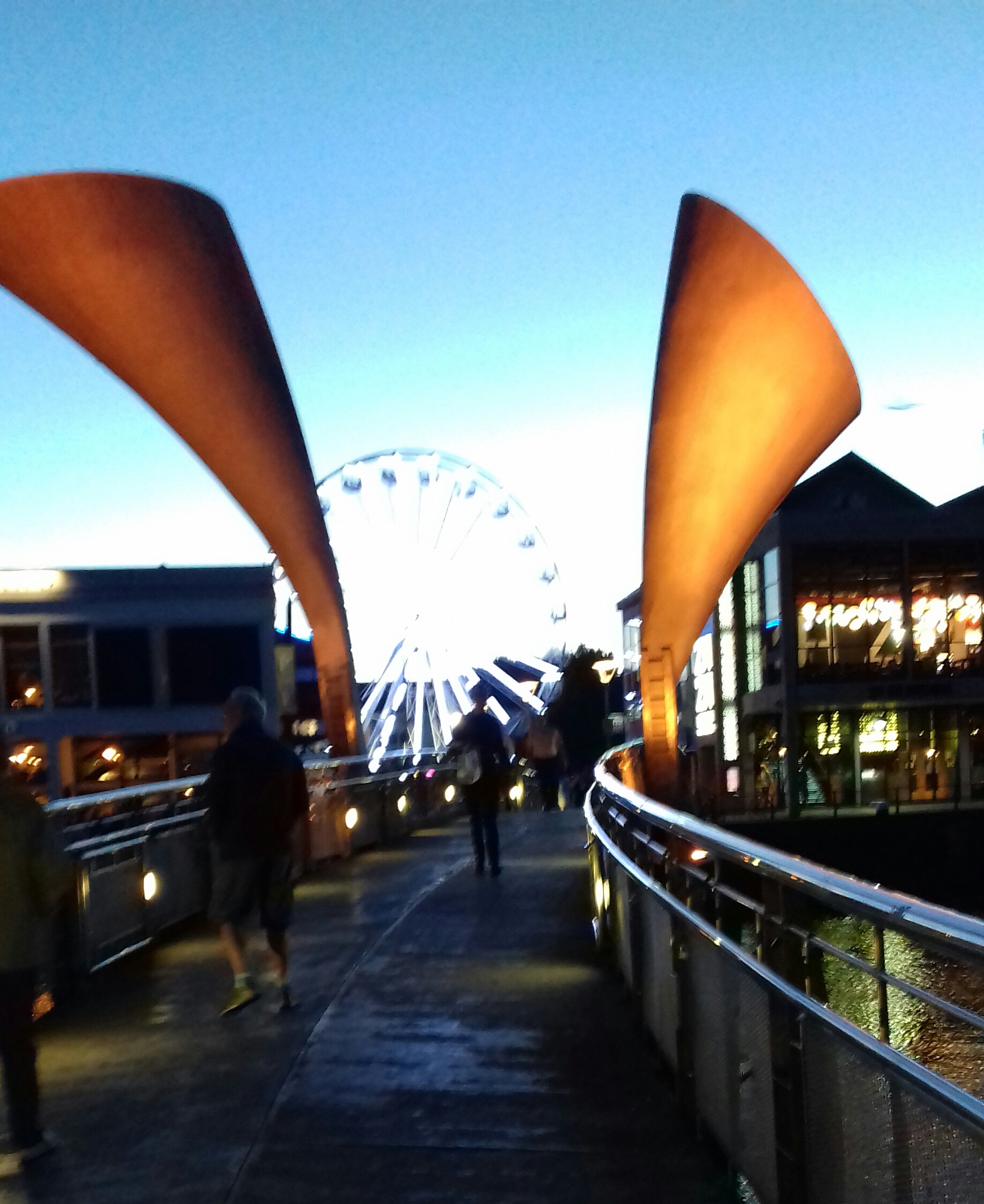 The Horn Bridge at Night