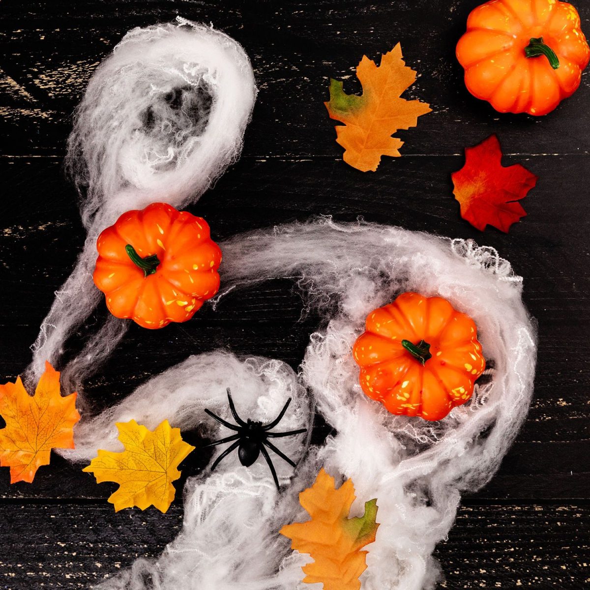 pumpkins and spider